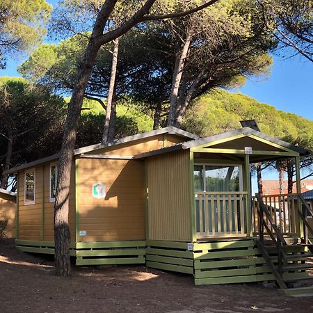 Camping la Tama Agde Exterior foto